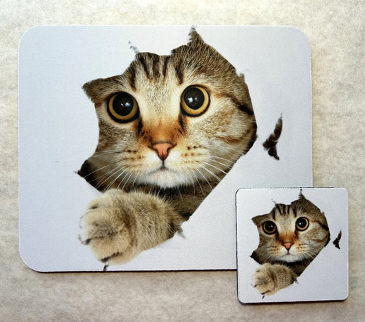 Cat break out Mouse Pad and Coaster Set - Matching Desk Set